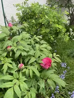 D0FAE946-D69E-4451-B8DD-B0EE3C2A3BC7.webp