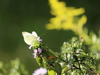 image012.jpg