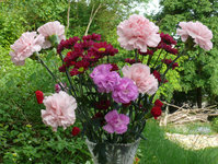 2023Vase6.jpg