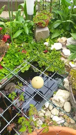 20230506_170510.webp