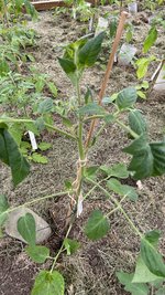 IMG_5850.jpeg