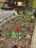 IMG_2785.jpeg