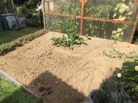 IMG_1820.jpeg