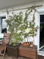 IMG_0433.jpg