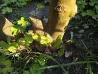 IMG_20230512_185954149.webp