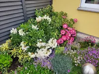 20230509_080235.webp