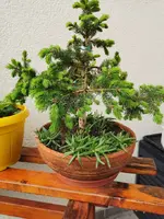 IMG_20230512_075805.webp