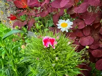 IMG_8955.webp