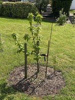 IMG_1959.jpeg