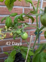PXL_20230513_142937226~2.jpg