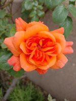 IMG_20230513_095102.jpg