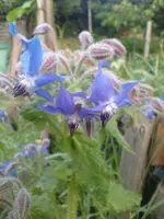 IMG_20230513_081446.webp