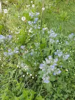 IMG_20230513_081503.webp