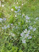 IMG_20230513_081503.jpg