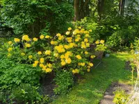 IMG_20230514_101452.webp