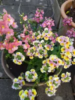 IMG_20230513_174634.webp