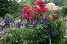 Terasse9117.webp