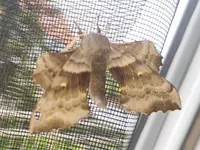 20230514_133840.jpg 20230514_133840.jpg