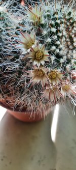 20230514_150458.jpg