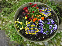 DSC02904.JPG