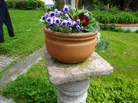 DSC02906.JPG