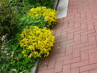 DSC02905.JPG