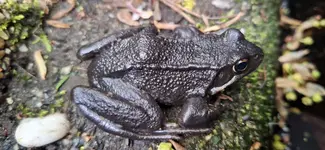 20230514_164521.webp