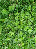 IMG-20230515-WA0008.webp