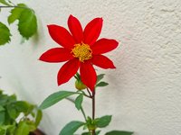 20230515_143750.jpg