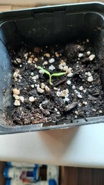 20230515_181049.jpg