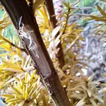 20230515_190418.webp