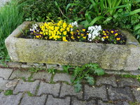 DSC02912.JPG