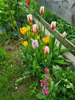 20230513_172034.webp