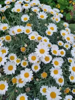 20230516_210324.webp