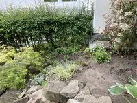 D8209B07-2D72-42CC-9B64-4B396CC09736.webp