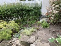 D8209B07-2D72-42CC-9B64-4B396CC09736.jpeg