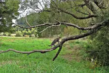 IMG_8796 v (1).webp
