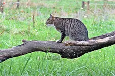 IMG_8805 v (2).webp