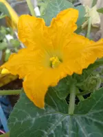 IMG_20230517_092700.webp
