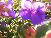 DSCI0604 (2).webp