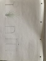 54BCBC2B-D652-4B4D-8AB6-28A5CEA920ED.jpeg