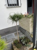 7E1229F7-AE63-43A0-B024-654761DE1459.jpeg