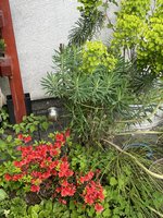 94440263-0BD6-461D-9A3F-68220CA6D7D2.jpeg