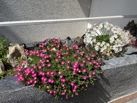51F9899D-DDCD-430F-AC2C-3485C5DBBD1E.jpeg