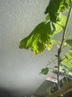 3F6DB99A-97BD-482A-B239-92393925B2CE.jpeg
