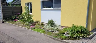 20230518_135258.jpg