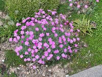 20230518_135316.jpg