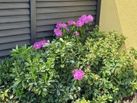 20230518_135334.jpg