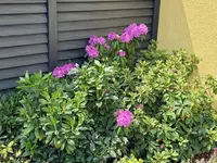 20230518_135334.jpg