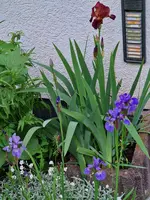 20230518_203306.webp